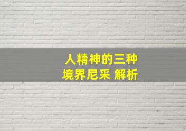 人精神的三种境界尼采 解析